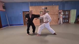 Heian Shodan Bunkai-kumite Nr. 4