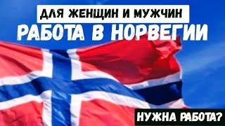 Официальный сайт, искать работа в Норвегии @segodny EU RABOTA