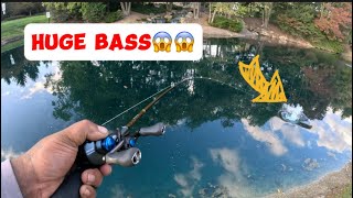 Catching Giant Bass In A Treated Pond “MUST SEE #fishing #newvideo #subscribe