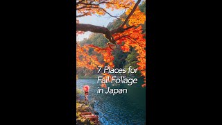 7 Places for Fall Foliage in Japan #shorts