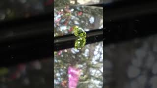 Genuine Peridot from thecoveatfoxhollow.com