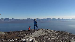 Autumn Sheep Herding - Collecting Sheep On The Mountain