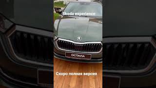 Тест-драйв от Шкоды это вам не у дилера Skoda experience #shorts