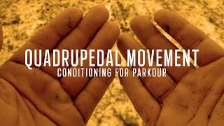 Quadrupedal Movement Training For Parkour - Strength And Determination Through Animal Locomotion