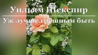 Уильям Шекспир - Сонет 121 - Уж лучше грешным быть