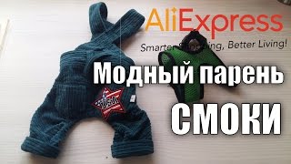 Распаковка посылки с Aliexpress. Модные штаны для йорка Смоки