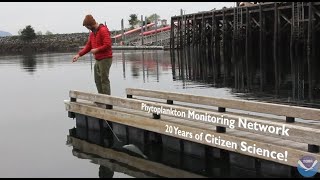 Phytoplankton Monitoring Network: 20 Years of Citizen Science and Still Growing