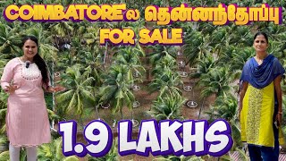 Farm land for sale in Coimbatore, Pollachi road | Coconut farms | Call 👉 7708780440 | Low budget