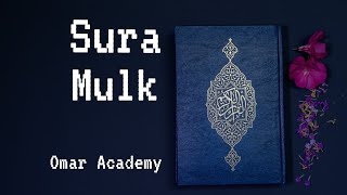 The Wonderful Recitation of Sura Mulk By Omar Bin Azad