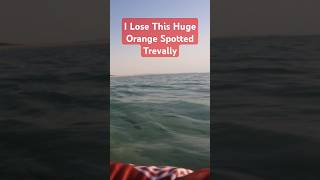 Loosing This Fish #shorts #shortsfeed #shortvideo #everyone #fishing #fish #ofw