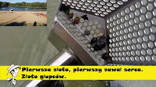 Pierwsze złoto, pierwszy zawał serca. Złoto głupców. Poszukiwania wykrywaczem metali w wodzie.