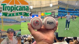 Tour al Tropicana Field, Yankees Vs Rays.