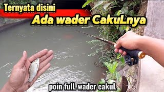 GAK NYANGKA TERNYATA DI IRIGASI INI BANYAK WADER CAKULNYA.