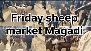 Magadi sheep market part 1 (29/11/2024)