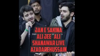 Jan E Sakina | Alijee | Ali shanawar | Live | AzadarHussain