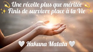 💫 Une récolte plus que méritée 💫✨ Finis de survivre place à la Vie ✨🤍 Hakuna Matata 🤍