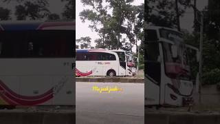 bus pt pelangi asik medan bandung dilintasan sumatera#shorts#bus#buslover#ptpelangi#viral