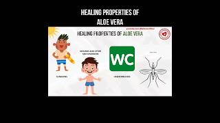 Healing properties of Aloe Vera #aloevera #aloe #herbalmedicine #herbs