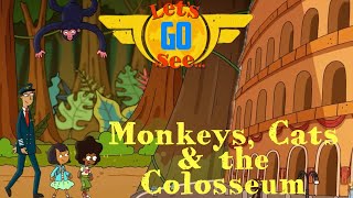 Let's Go See - Monkeys, Cats and the Colosseum