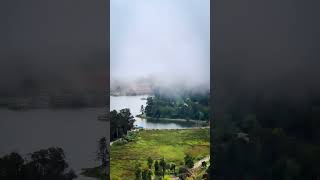 Kodaikanal : The Misty Land #kodaikanallake #kodaikanal #nature #misty #foggy