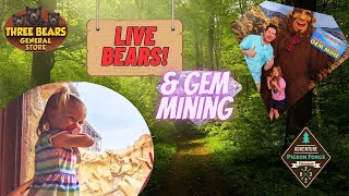 Live Bears in Pigeon Forge! - Three Bears General Store & Mining for Gems - Pigeon Forge 2023