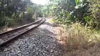 Programa trem de minas