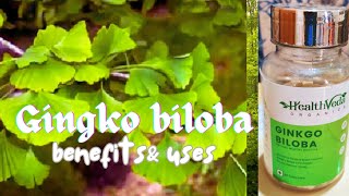 What is gingko biloba?  benefits & uses /malayalam ജിൻകോബൈലോബ അറിവ് #heavensoultruepath