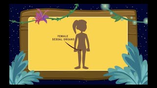 Love Land Game - Jungle Lady Island - Check out the female sexual organs