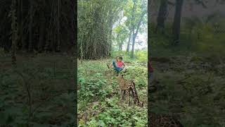 Cheetah attack #shortsviral #viralvideo #shortsviral 😱