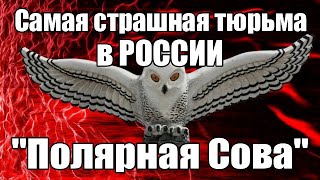 Самая страшная тюрьма в России "Полярная Сова"