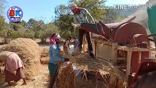 Paddy Thresher machine  🌾🌾🌾🌾 🌾🌾🌾