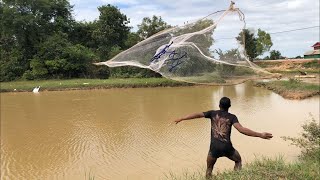 សកម្មភាពបង់ត្រីនៅតាមស្រុកស្រែ | Rural life in Cambodia #56