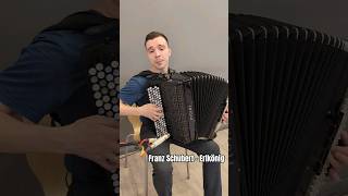 #KirillRusinov #Schubert #accordion #music #live #shorts #КириллРусинов