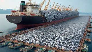 100 Tons of Fish a Day – Is This the End of Our Ocean Life?