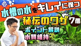 【アクアリウムの基本】水槽の水をきれいに保つ秘訣！秘伝のワザ7個すべて公開します