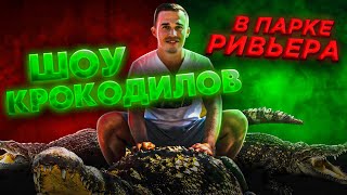 Крокодиляриум в Сочи / Парк Ривьера / Достопримечательность в Сочи / Куда сходить в Сочи