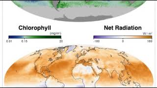 NASA Chlorophyll & Net Radiation