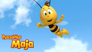 Skąd dochodzi tPOL hałas? - Pszczółka Maja🐝🍯🐝