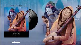 Aisi Laagi Lagan Slowed Reverb Krishna Meera Bai Bhajan