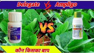 Delegate Insecticide V/S Ampligo insecticide || Delegate || Ampligo || कीटनाशक ||