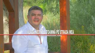 Vlada Nedin - E toamnă pe strada mea