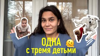 68. осталась ОДНА с тремя детьми. BABY UPDATE 8 месяцев. ЗАГОТОВКИ для прикорма.