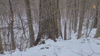 snow & ice on the trail / Cuyahoga Valley National Park  #nps