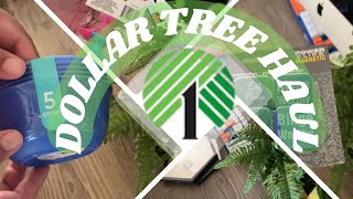 NEW DOLLAR TREE HAUL* AMAZING FINDS