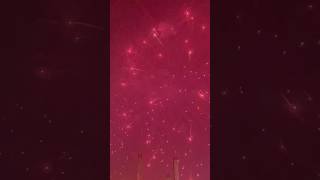 Celebrating Fireworks at Janam Asthan at Gurpurab 2024 #gurpurab2024 #shorts #short