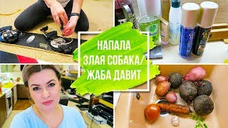 VLOG: Напала СОБАКА / Жаба давит / Варим борщ / ВЛОГ ДОМОХОЗЯЙКИ/ СЕМЕЙНЫЙ КАНАЛ/LifeVlog