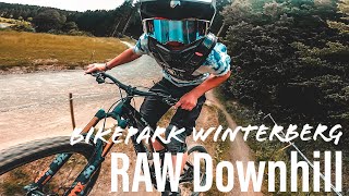 IXS Downhill // Full Run // Bikepark Winterberg // 2020