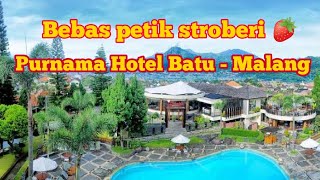 Bebas petik Stroberi di Purnama hotel batu malang