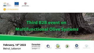 Third B2B event on Multifunctional Olive Systems-English