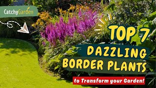 Top 7 Dazzling BORDER PLANTS to Transform your Garden! 🌼🌸🌱